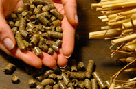 free Sapcote biomass boiler quotes