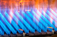 Sapcote gas fired boilers